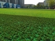 وافق الفيفا على حشوة العشب الاصطناعي من المطاط الأخضر لحشو الحبيبات في الهواء الطلق