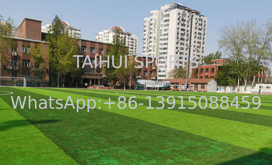 حبات المطاط TPE الصديقة للبيئة غير السامة لحماية الأشعة فوق البنفسجية للعشب الاصطناعي