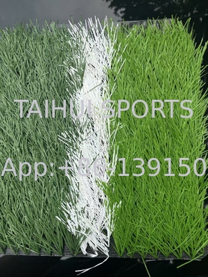 5/8 بوصة مقاس متينة UV ثابتة قوة انسحاب العضلة FIFA العشب الرياضي الاصطناعي لتربيت ملعب كرة القدم
